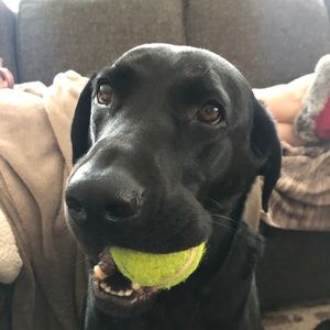 Meet your Posher, Kelsi